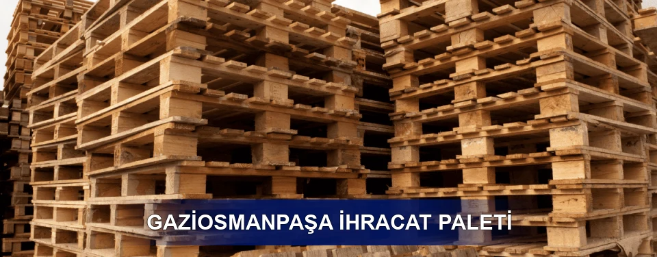 Gaziosmanpaşa ISPM 15 Seçimi